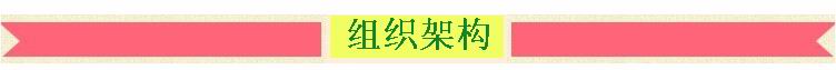 组织架构.jpg